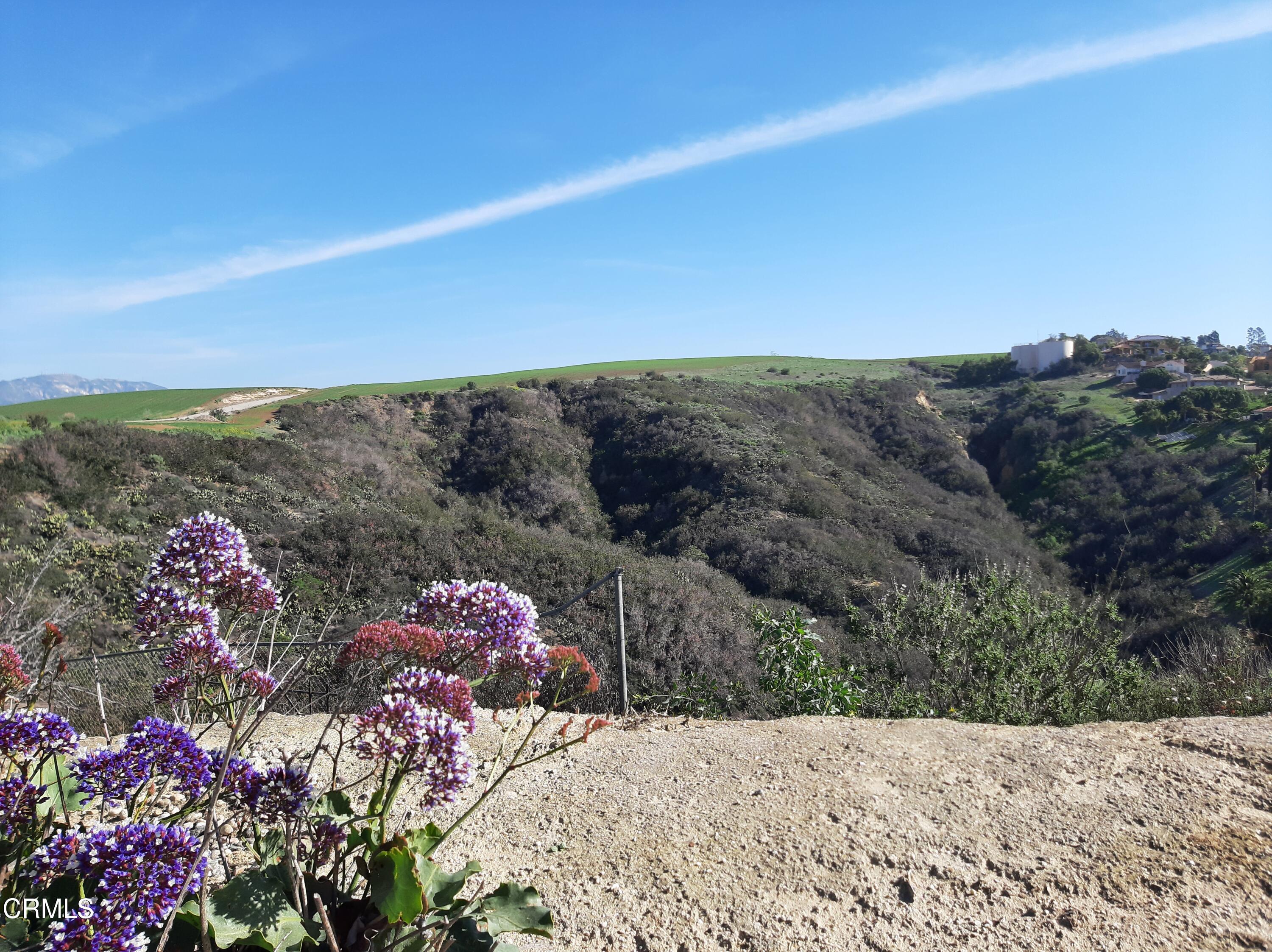 3166 Old Coach Drive Camarillo, CA 93010 - Photo 31 of 55 a view of a dry yard with a building in the background