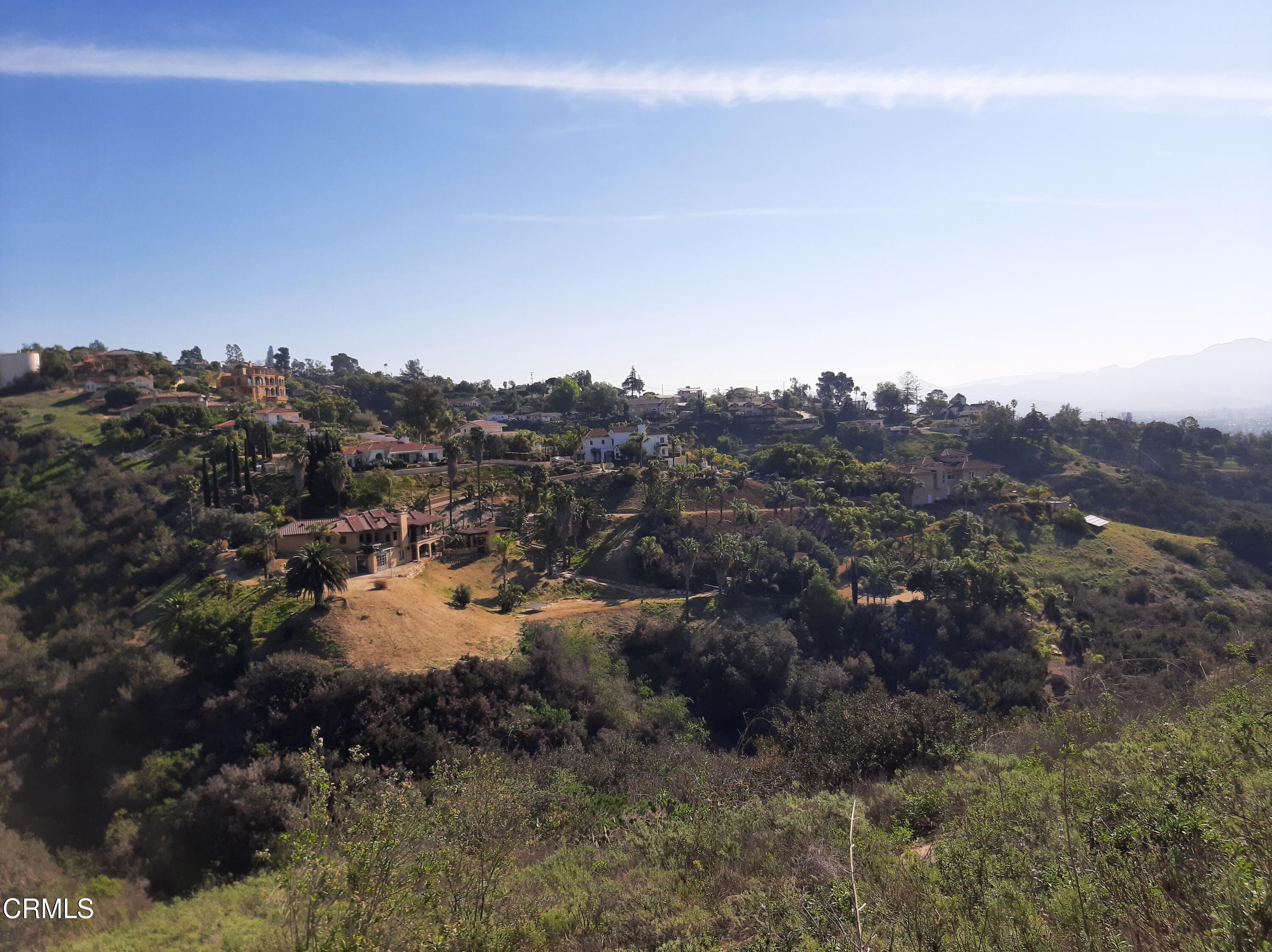 3166 Old Coach Drive Camarillo, CA 93010 - Photo 33 of 55 a view of a forest with a tree in the background