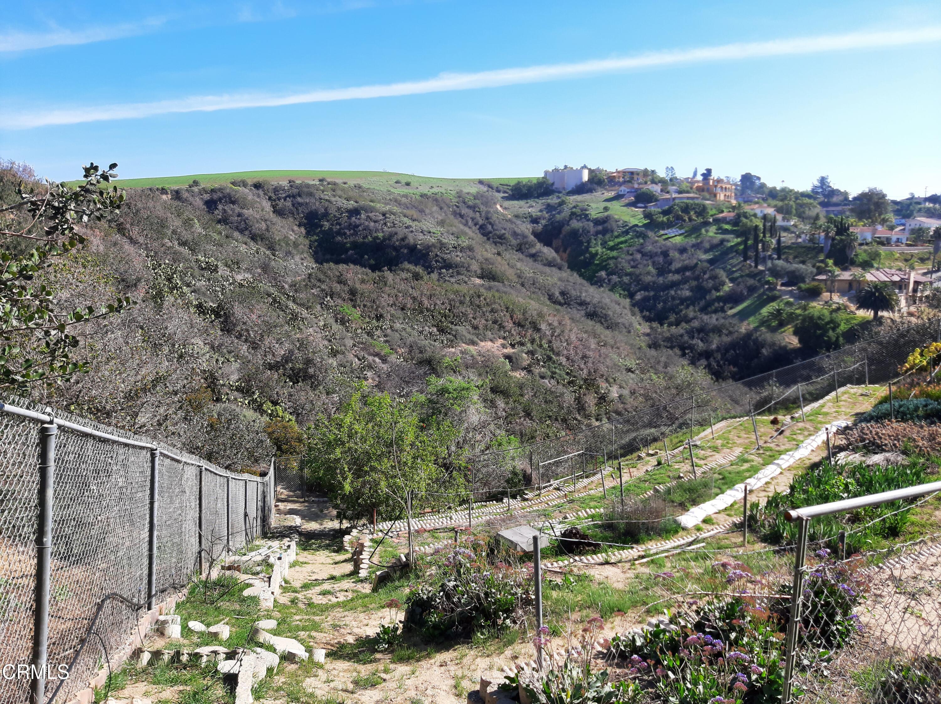 3166 Old Coach Drive Camarillo, CA 93010 - Photo 45 of 55 a view of a backyard