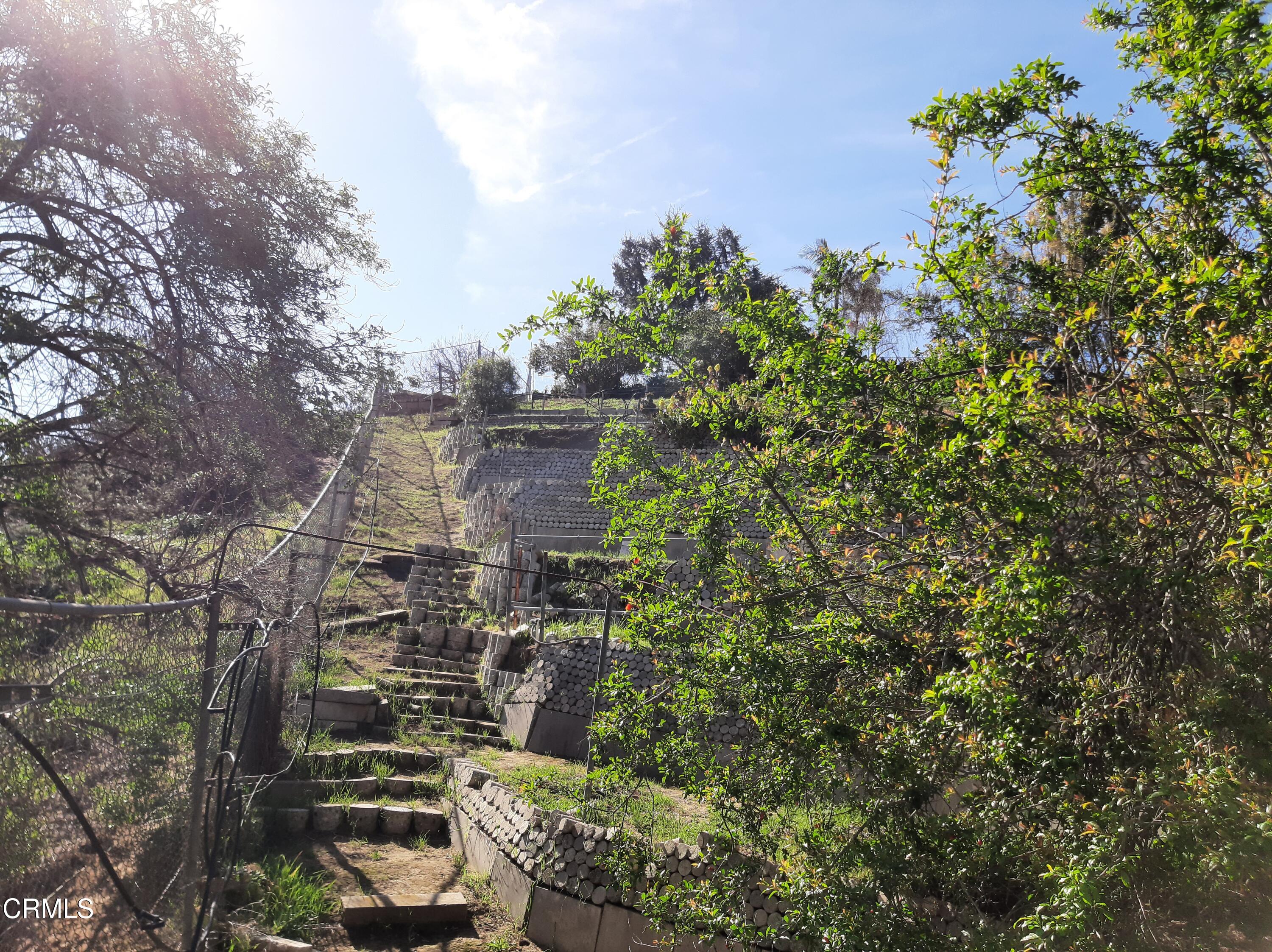 3166 Old Coach Drive Camarillo, CA 93010 - Photo 49 of 55 a backyard of a house with lots of green space