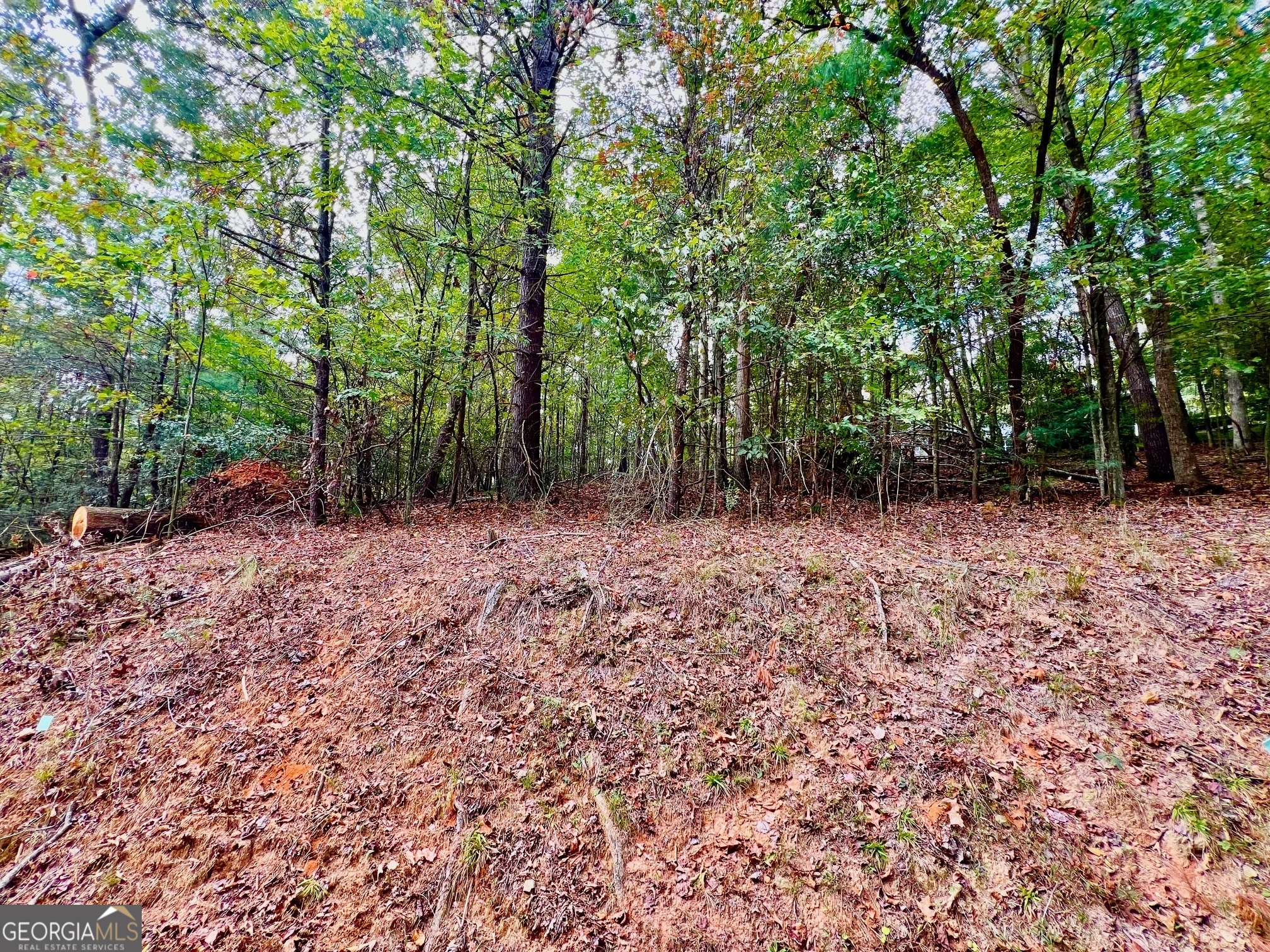 573 Cataula Court Ellijay, GA 30540 - Photo 2 of 13 a view of outdoor space with trees