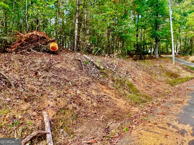 a backyard of a house with barbeque oven