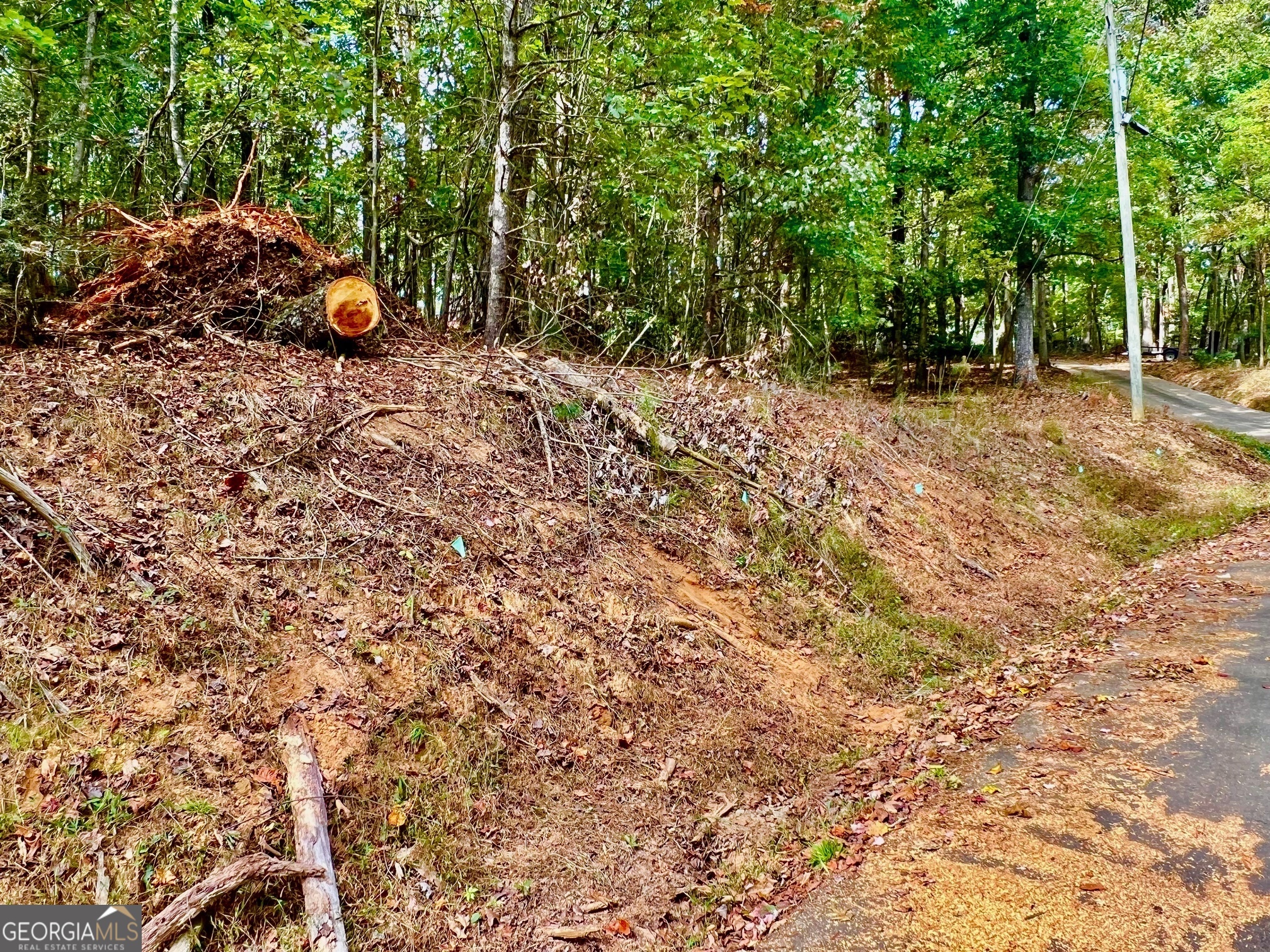 573 Cataula Court Ellijay, GA 30540 - Photo 5 of 13 a backyard of a house with barbeque oven