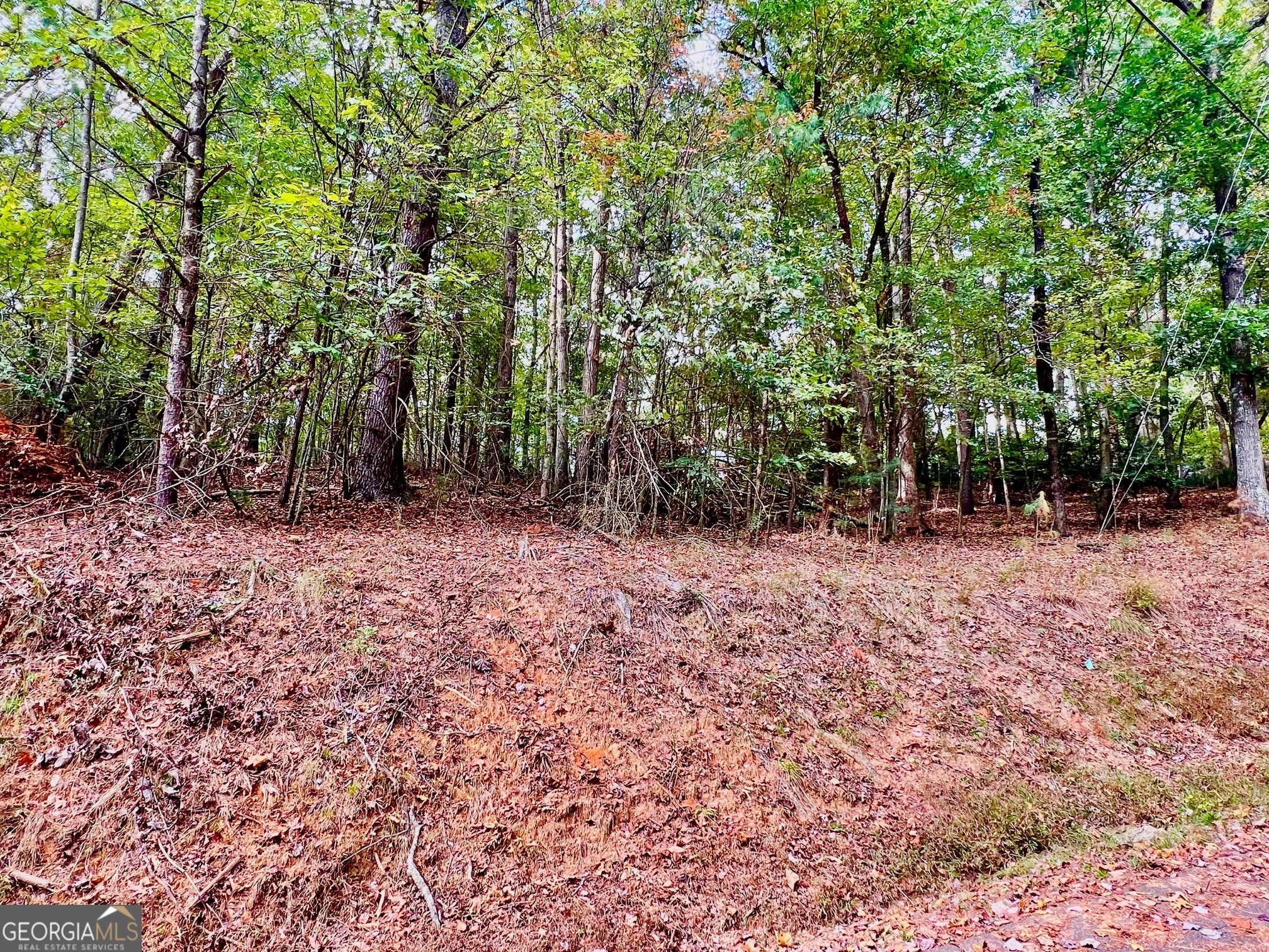 573 Cataula Court Ellijay, GA 30540 - Photo 7 of 13 a view of outdoor space and trees