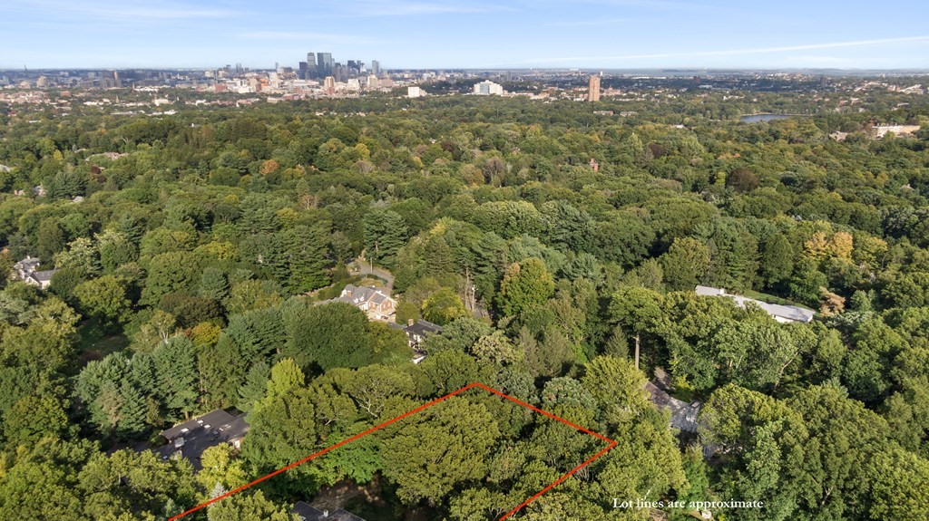 260 Lee Street Brookline, MA 02445 - Photo 22 of 22 a view of a city with lush green forest