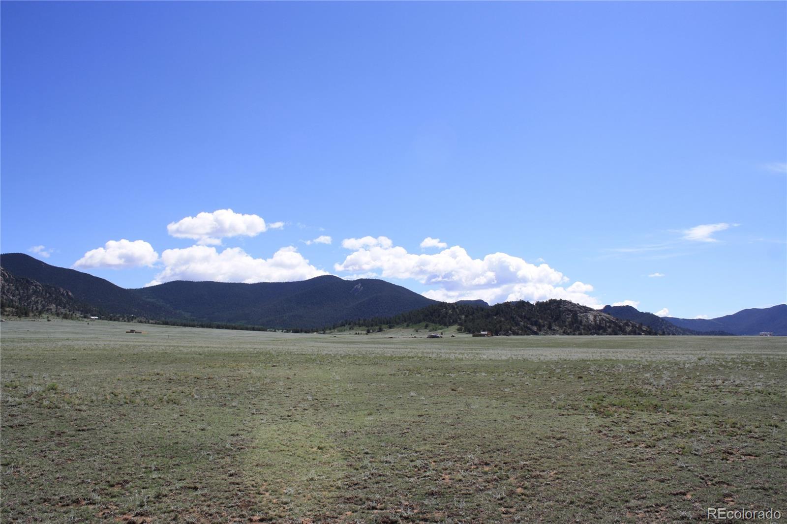 5561 Park Road Hartsel, CO 80449 - Photo 12 of 22