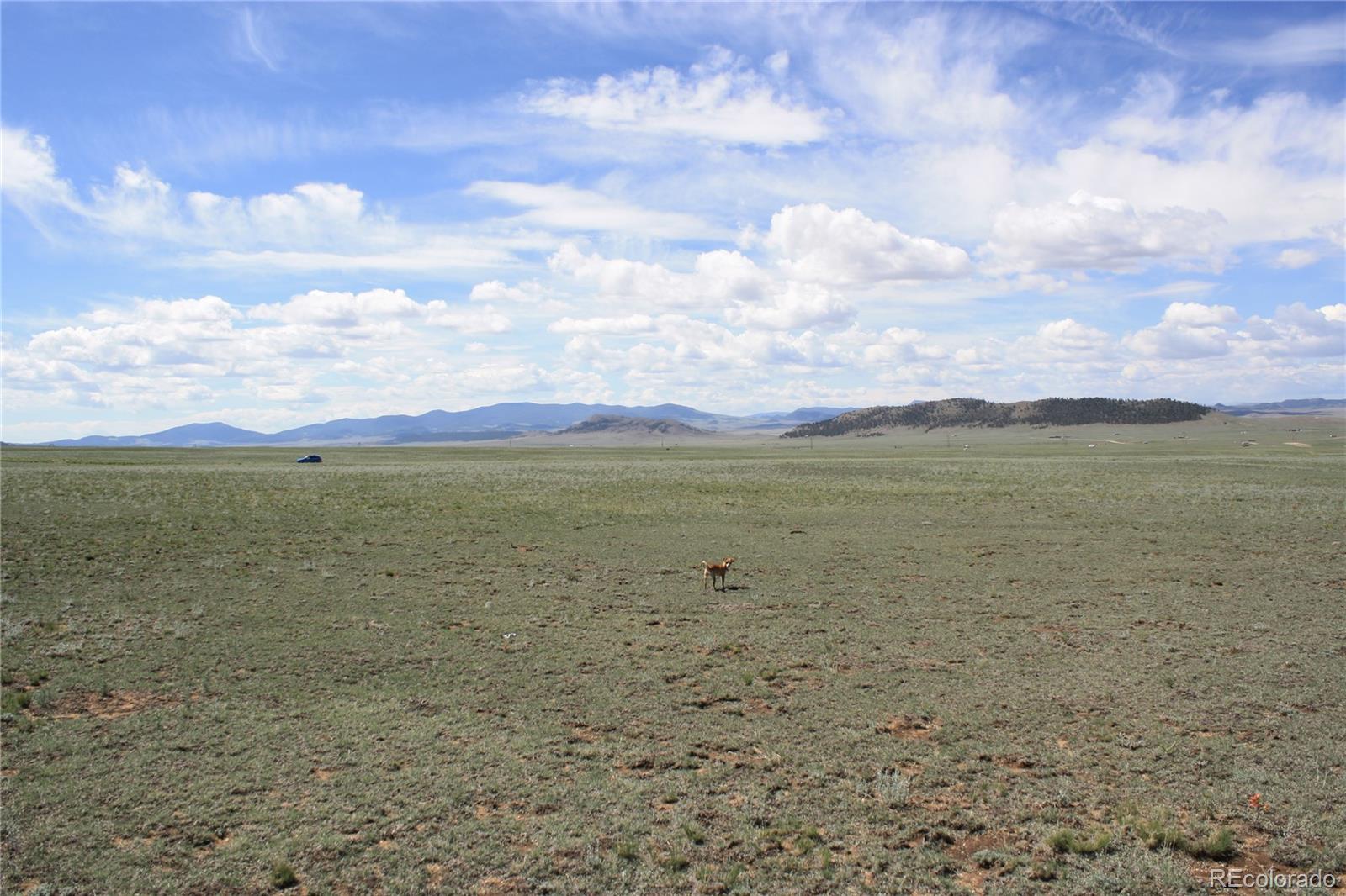 5561 Park Road Hartsel, CO 80449 - Photo 14 of 22
