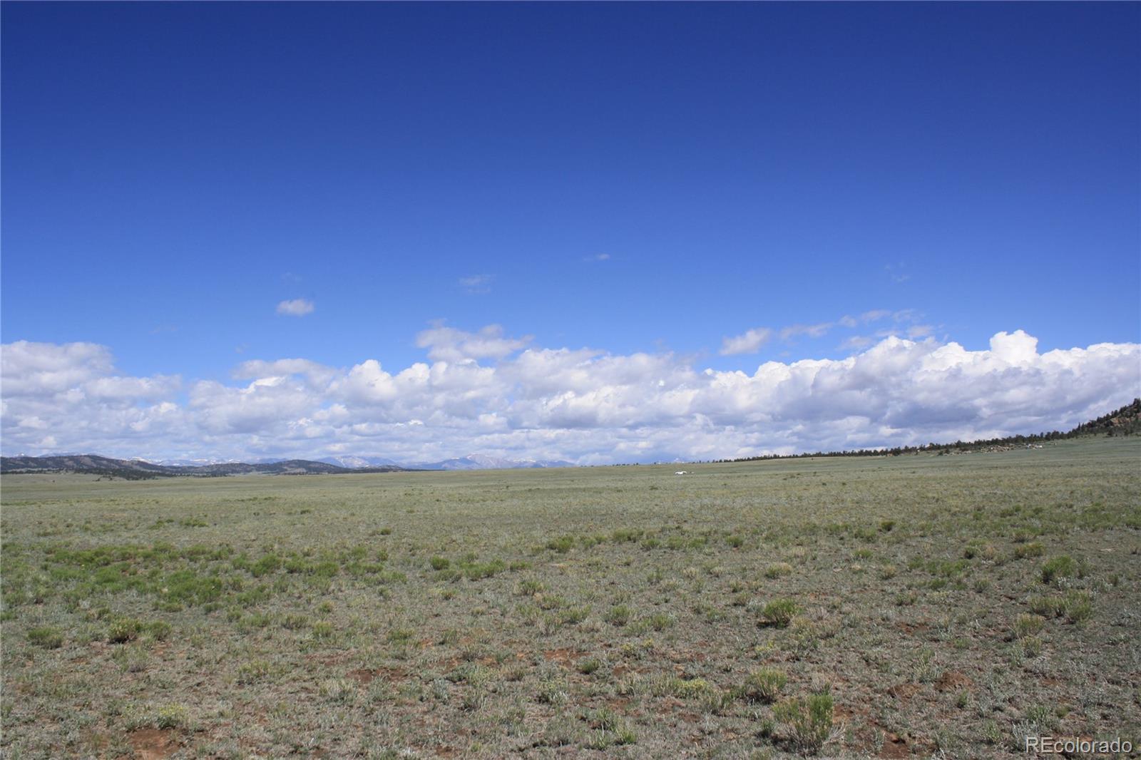 5561 Park Road Hartsel, CO 80449 - Photo 3 of 22