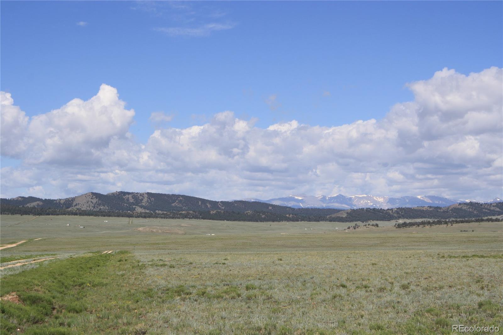5561 Park Road Hartsel, CO 80449 - Photo 5 of 22