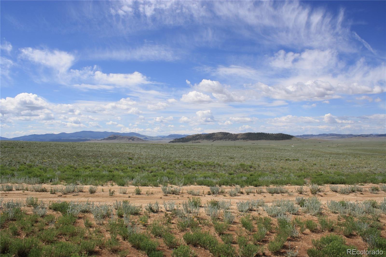 5561 Park Road Hartsel, CO 80449 - Photo 6 of 22