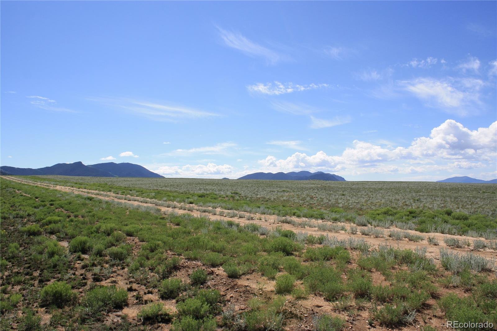 5561 Park Road Hartsel, CO 80449 - Photo 7 of 22
