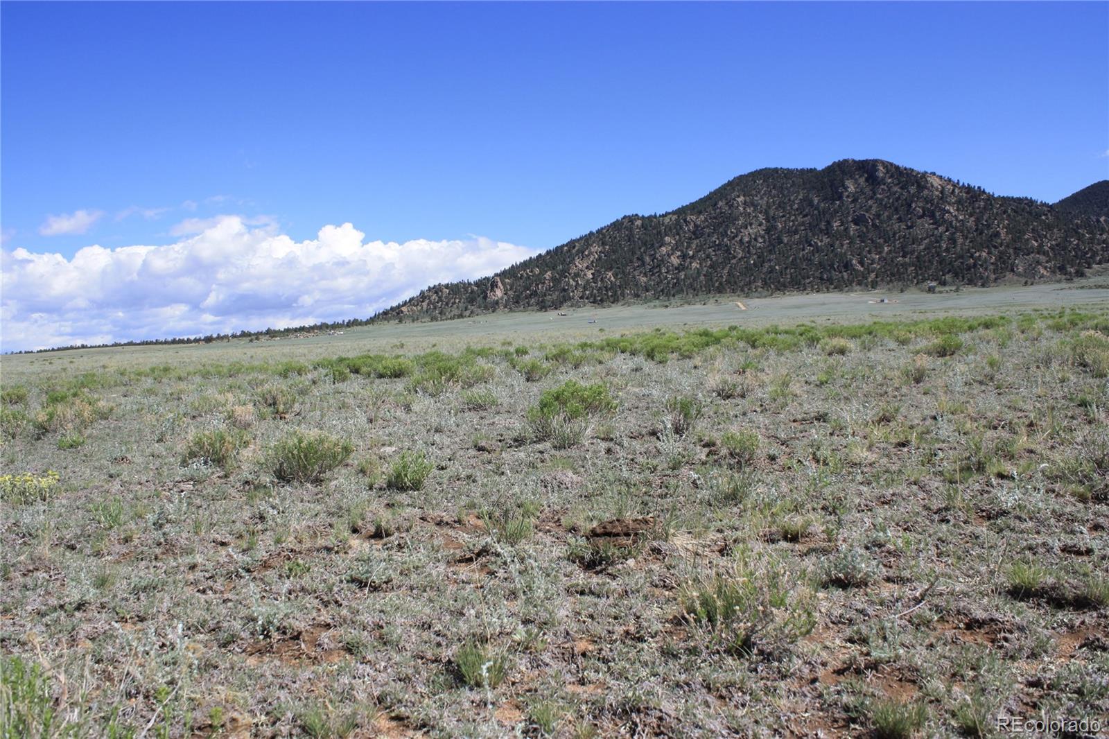 5561 Park Road Hartsel, CO 80449 - Photo 8 of 22