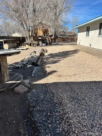 a view of a yard with a large tree