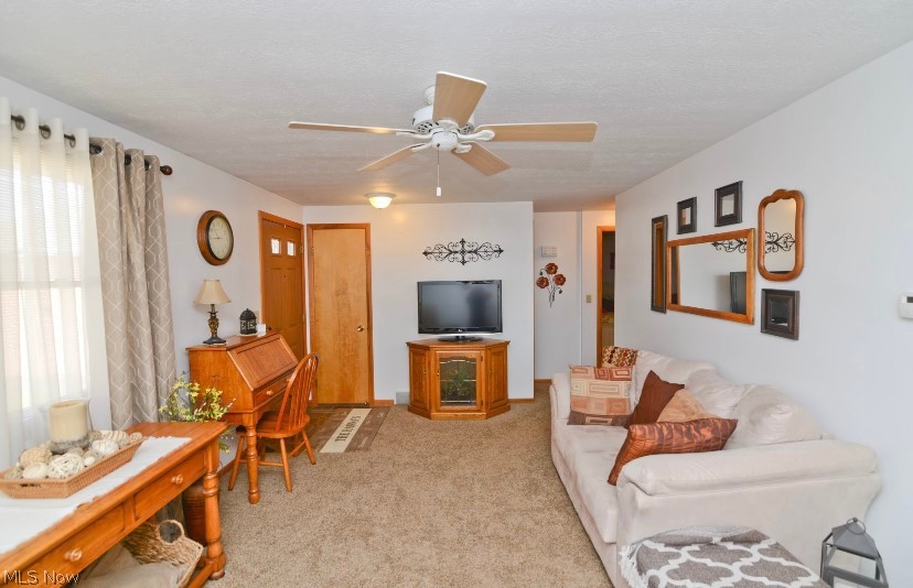 710 H Springfield Road, Unit H Columbiana, OH 44408 - Photo 6 of 29