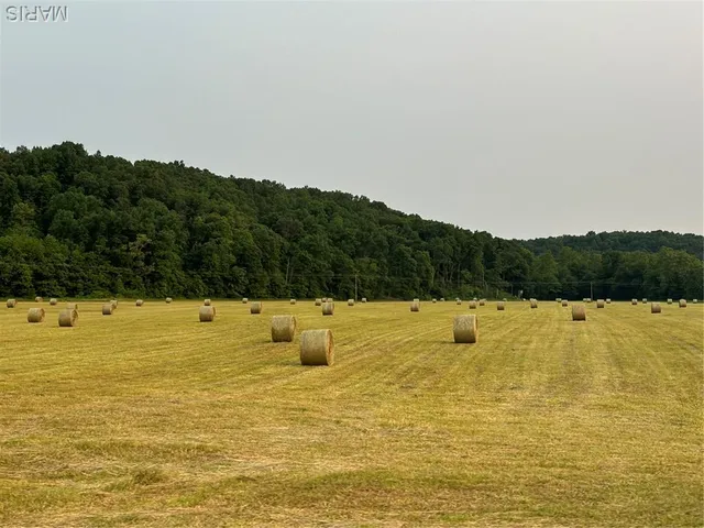 $280,000 | 0 State Hwy D, Greenville, MO 63944