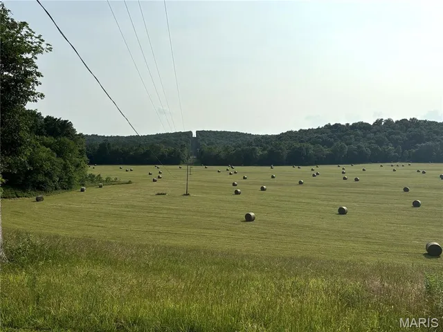 $280,000 | 0 State Hwy D, Greenville, MO 63944