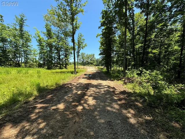 $280,000 | 0 State Hwy D, Greenville, MO 63944