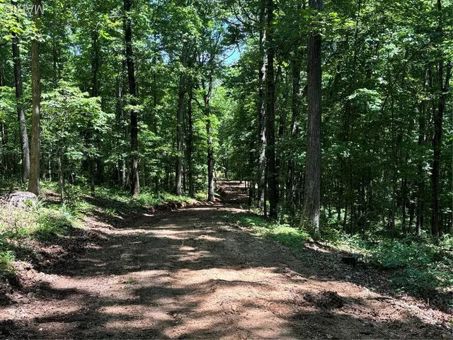 $280,000 | 0 State Hwy D, Greenville, MO 63944