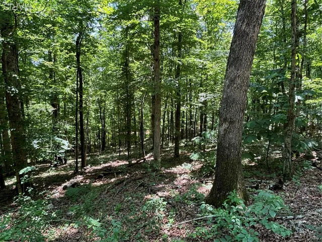 $280,000 | 0 State Hwy D, Greenville, MO 63944