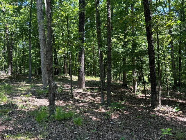 $280,000 | 0 State Hwy D, Greenville, MO 63944