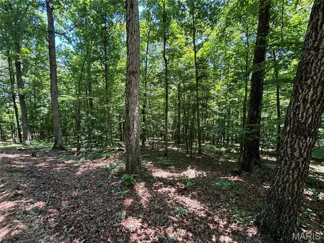 $280,000 | 0 State Hwy D, Greenville, MO 63944