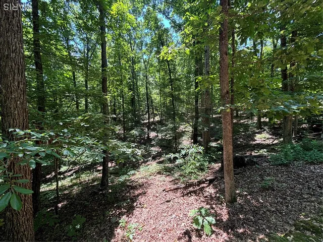 $280,000 | 0 State Hwy D, Greenville, MO 63944