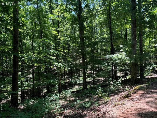 $280,000 | 0 State Hwy D, Greenville, MO 63944