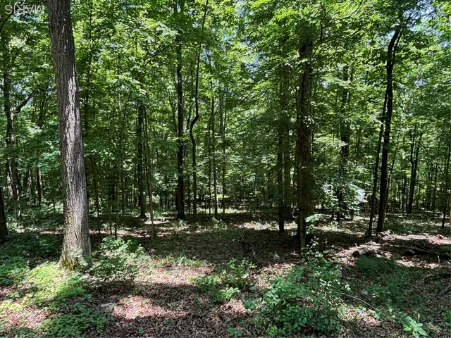 $280,000 | 0 State Hwy D, Greenville, MO 63944
