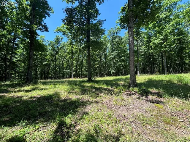 $280,000 | 0 State Hwy D, Greenville, MO 63944