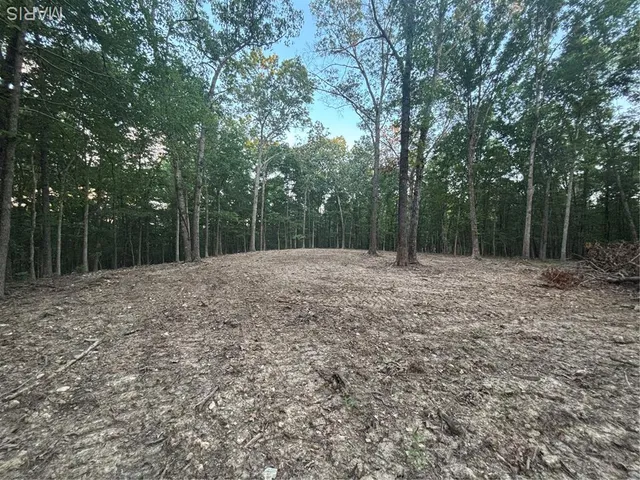 $280,000 | 0 State Hwy D, Greenville, MO 63944