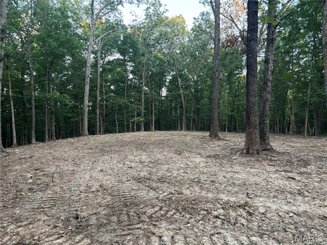 $280,000 | 0 State Hwy D, Greenville, MO 63944