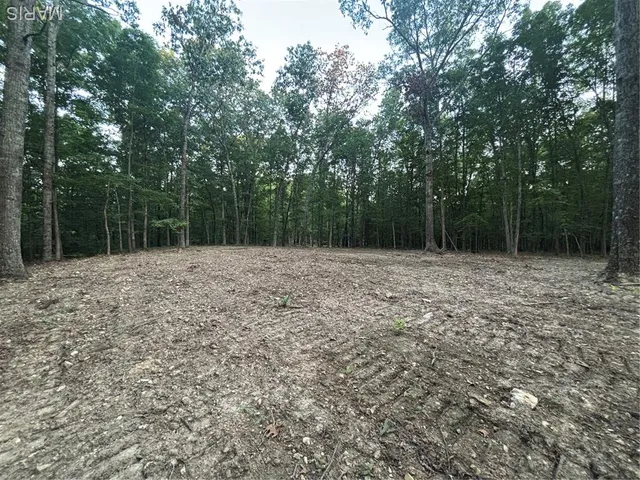 $280,000 | 0 State Hwy D, Greenville, MO 63944