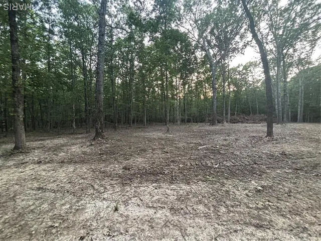 $280,000 | 0 State Hwy D, Greenville, MO 63944