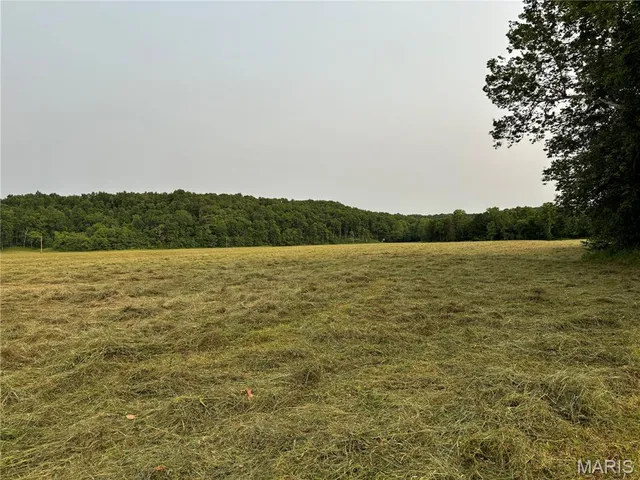 $280,000 | 0 State Hwy D, Greenville, MO 63944