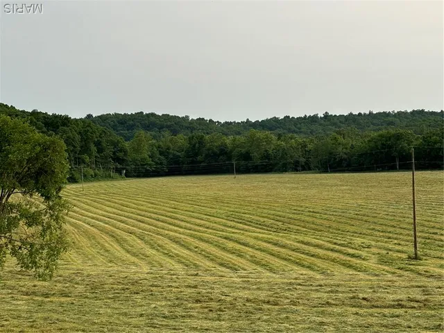 $280,000 | 0 State Hwy D, Greenville, MO 63944