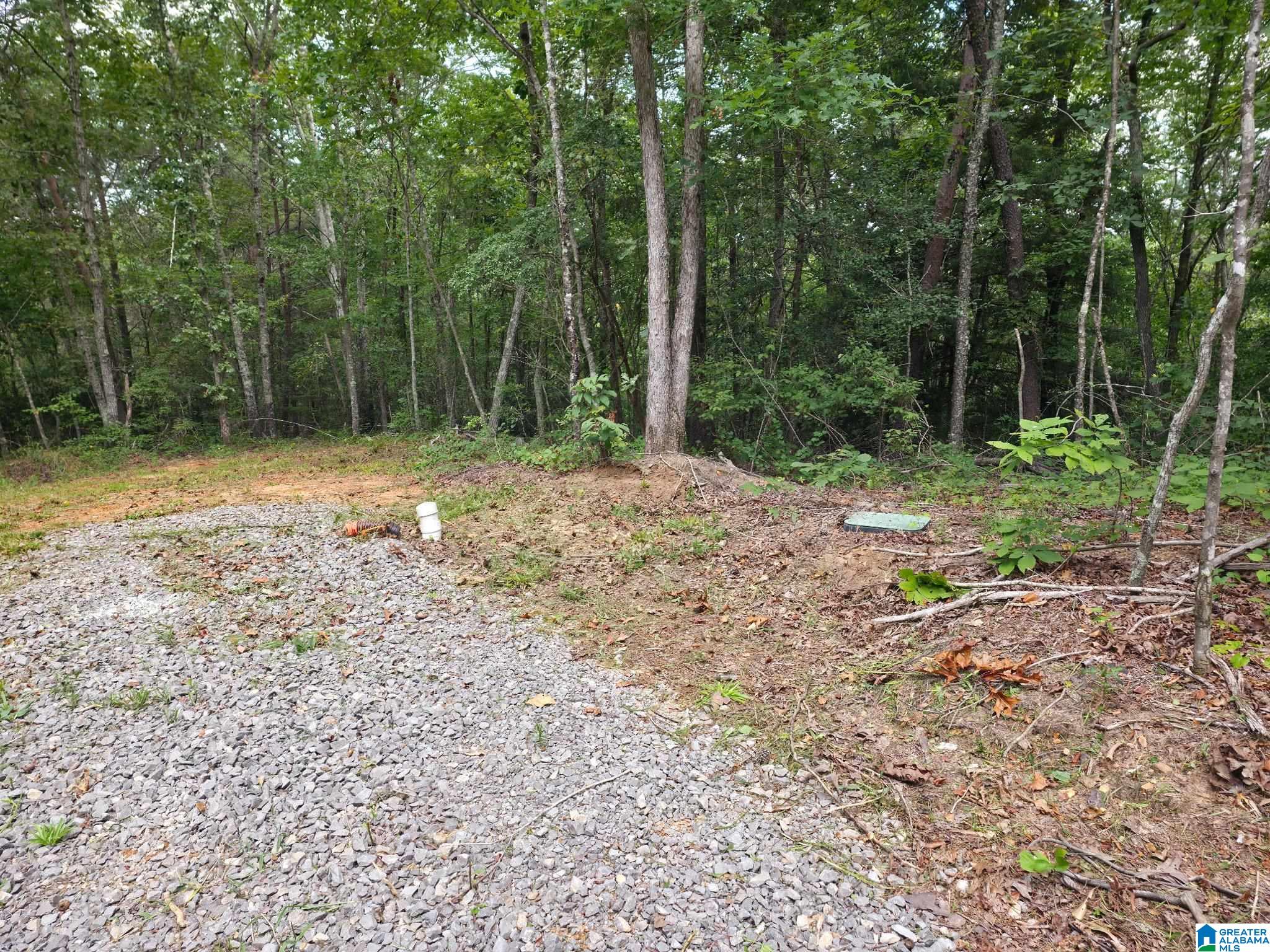 2 County Road 2, Unit 50 / ACRES Double Springs, AL 35553 - Photo 41 of 79