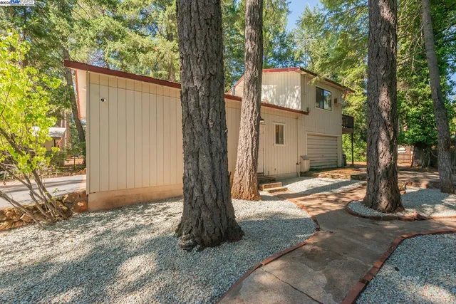 a view of a house with a tree and a tree