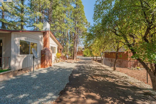 a view of a yard with plants and trees