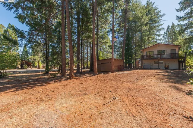 a house with trees in front of it