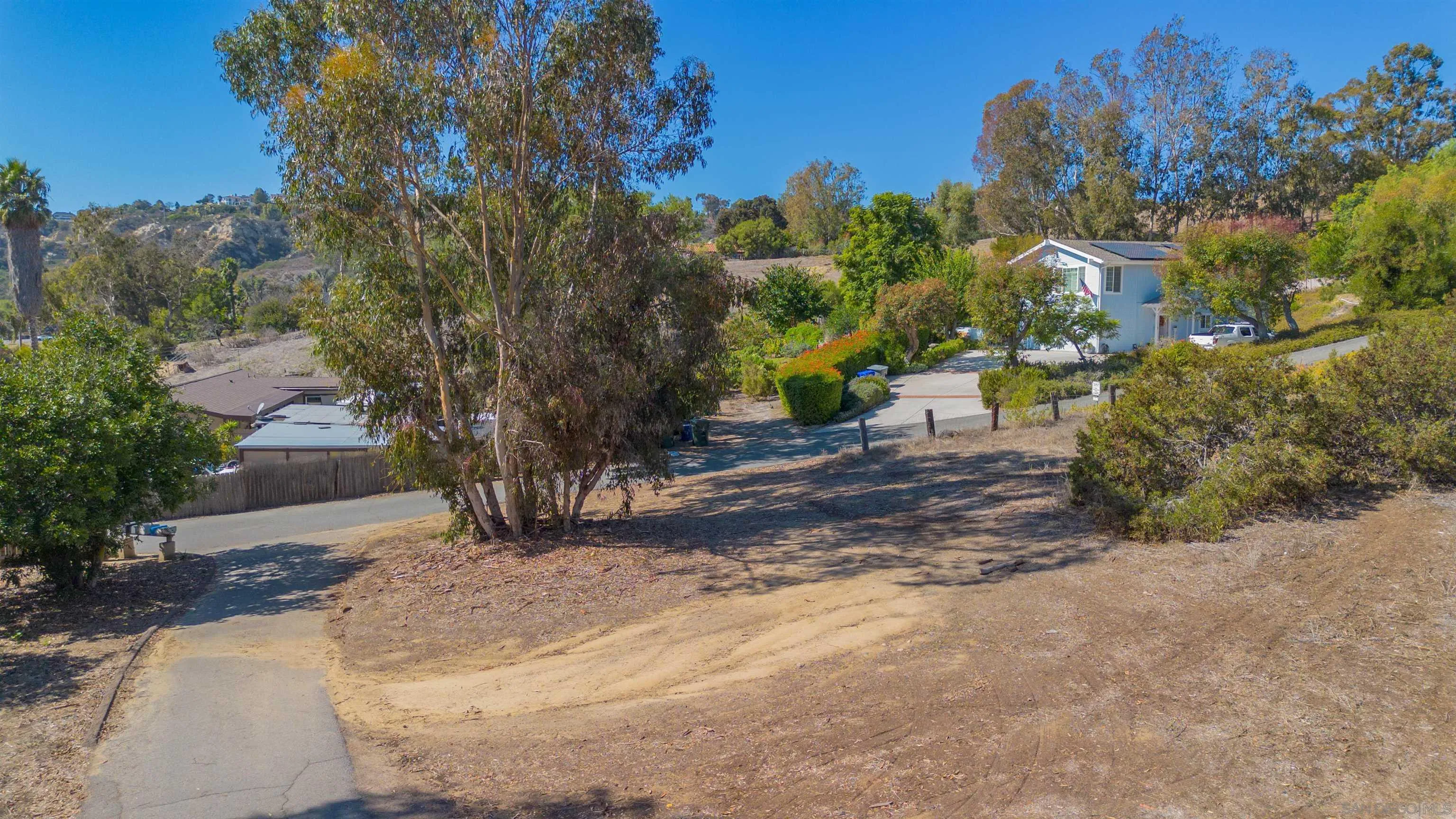 3703 Manchester Avenue, Unit 1 Encinitas, CA 92024 - Photo 14 of 23 a view of a yard with plants and trees