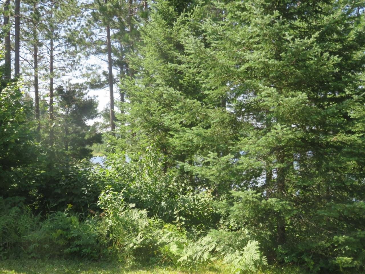 6859 Blue Heron Ridge Road Mercer, WI 54547 - Photo 30 of 72 Gallery Image 30