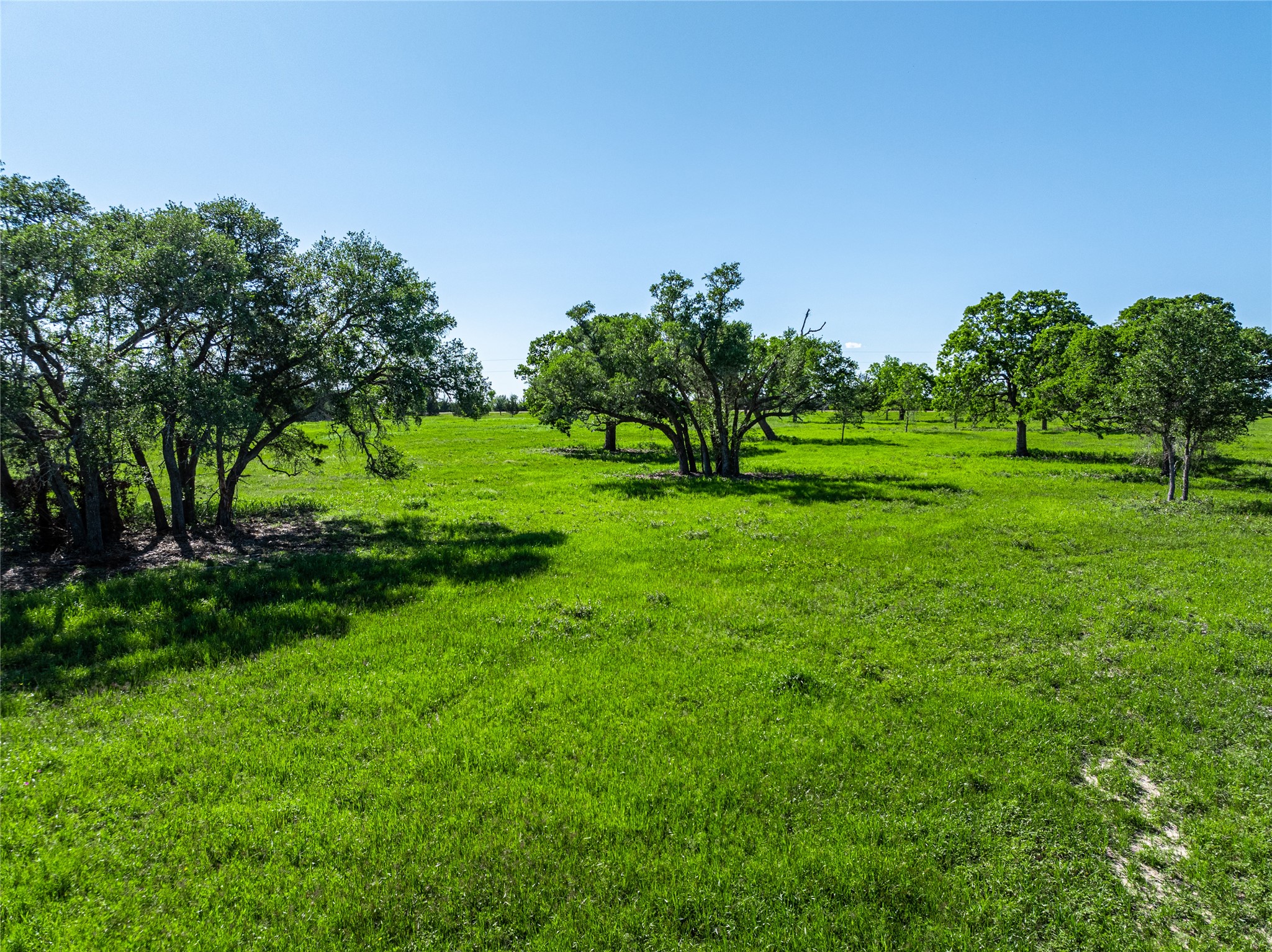2839 Schoenst Road Carmine, TX 78932 - Photo 5 of 15