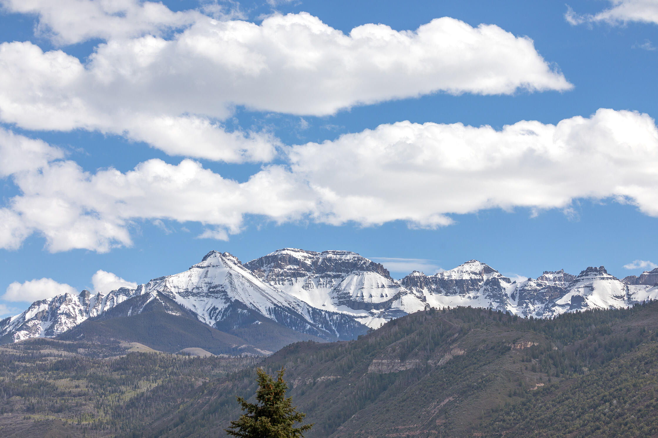 550 Redcliff Circle, Unit D102 Ridgway, CO 81432 - Photo 4 of 17 View 3