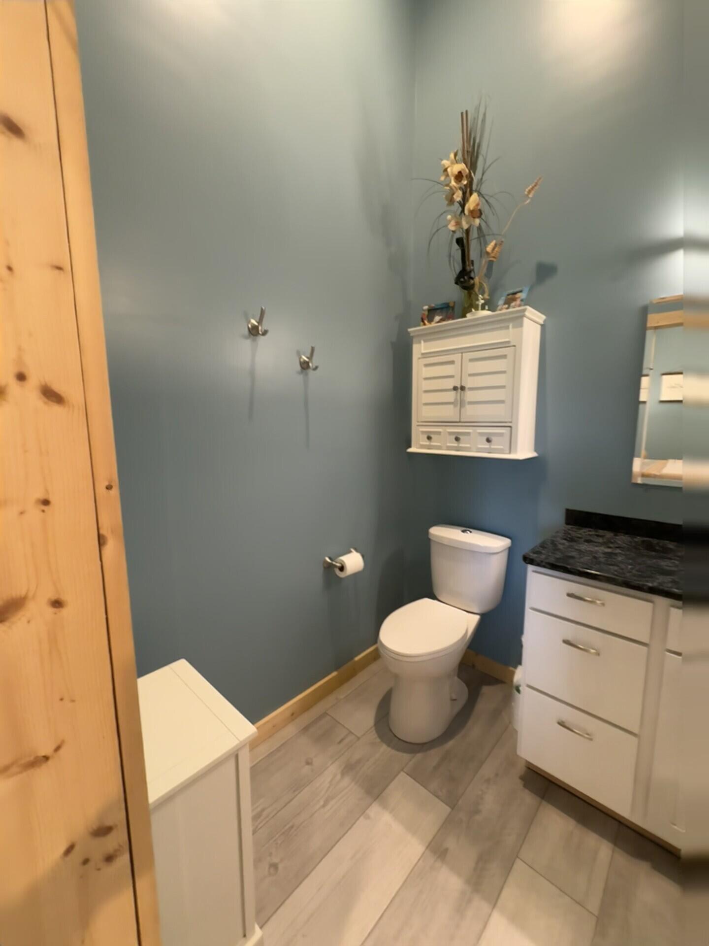 59061 Long Lake Road Colon, MI 49040 - Photo 28 of 57 main bathroom2