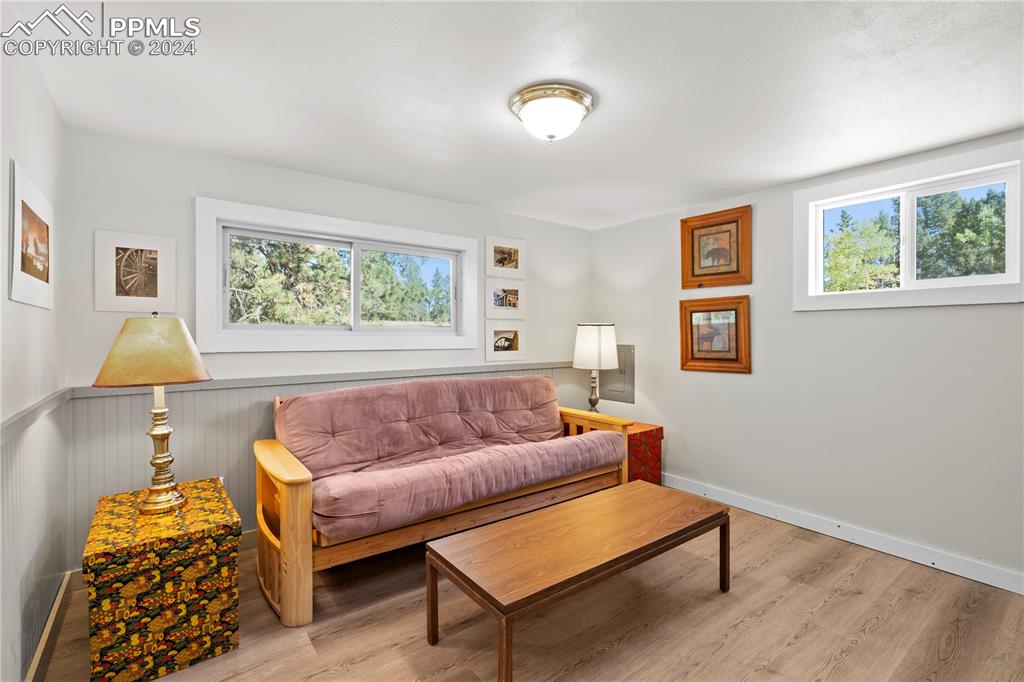 455 Golden Bell Lane Divide, CO 80814 - Photo 13 of 30 a living room with furniture and a window