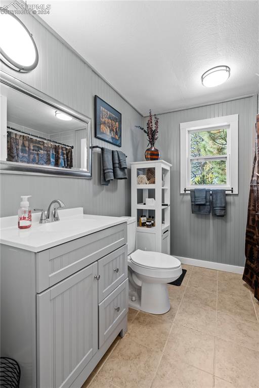 455 Golden Bell Lane Divide, CO 80814 - Photo 15 of 30 a bathroom with a toilet sink and mirror