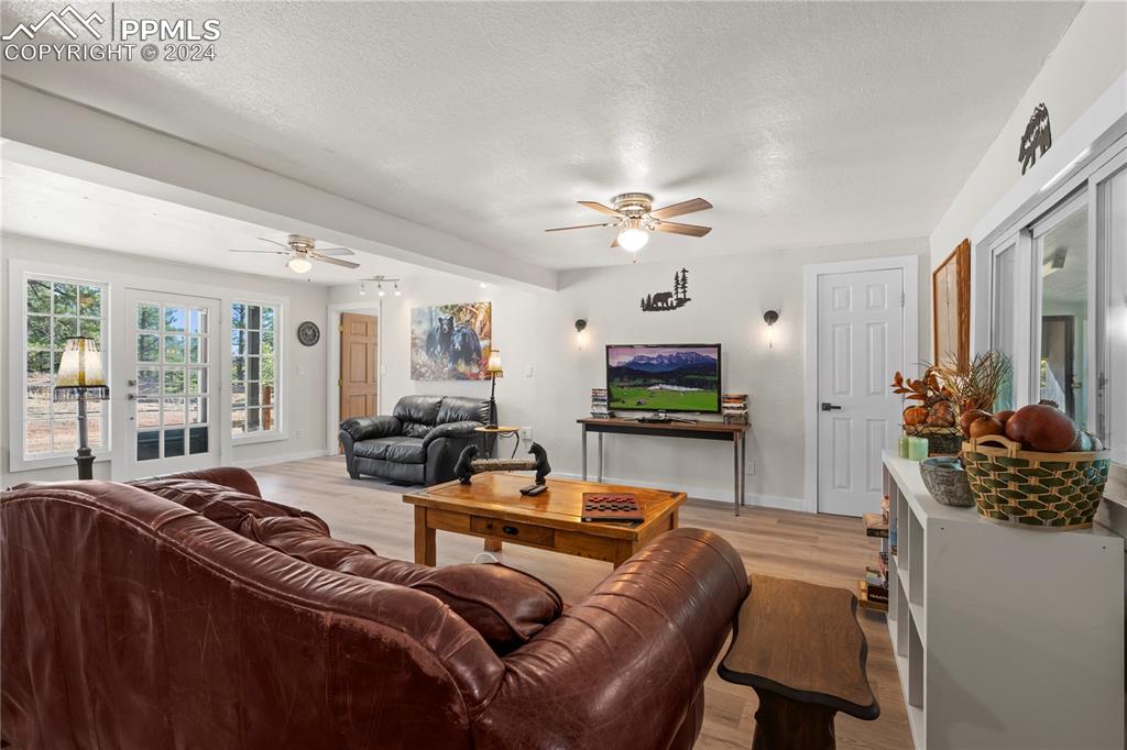 455 Golden Bell Lane Divide, CO 80814 - Photo 4 of 30 a living room with furniture and a flat screen tv
