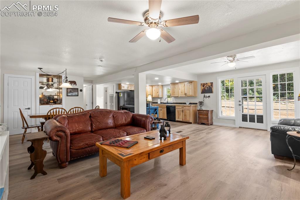 455 Golden Bell Lane Divide, CO 80814 - Photo 6 of 30 a living room with furniture ceiling fan and a rug