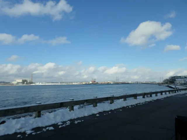 a view of an outdoor space and yard