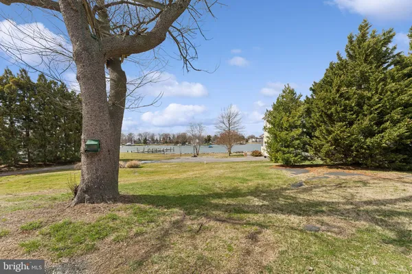 a view of a large yard with an trees